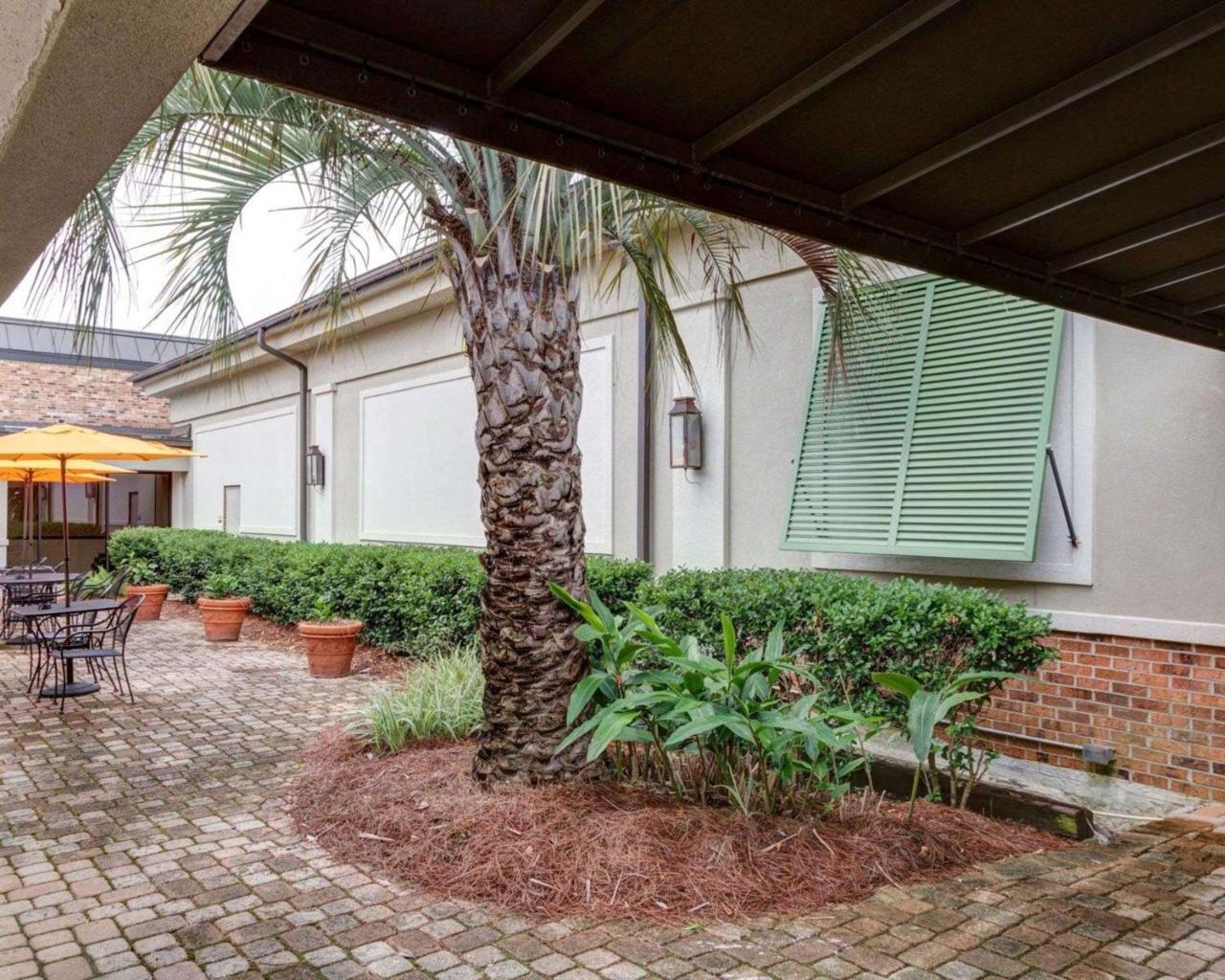 Clarion Inn & Suites Conference Center Covington Eksteriør billede